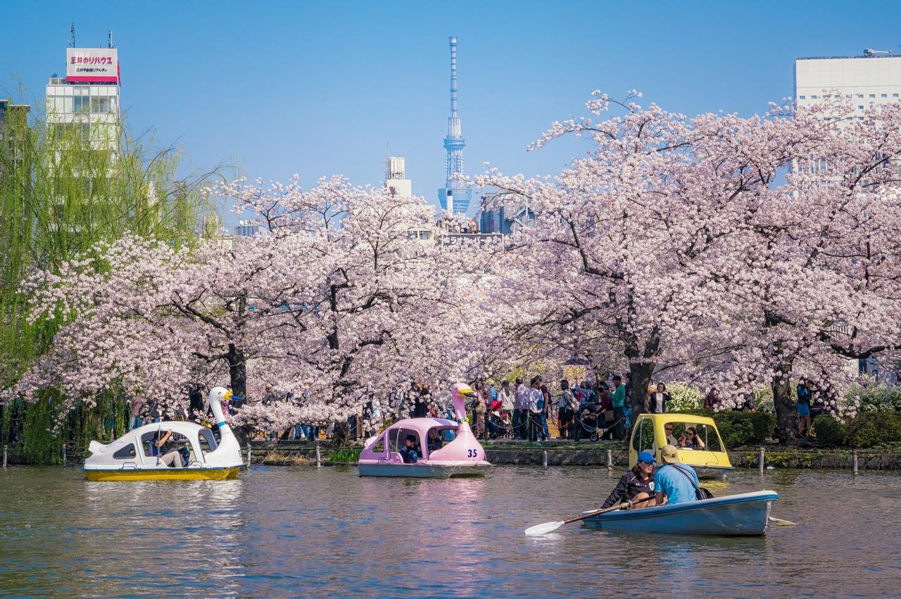 Sadou Hostel Tokyo Ueno Zewnętrze zdjęcie
